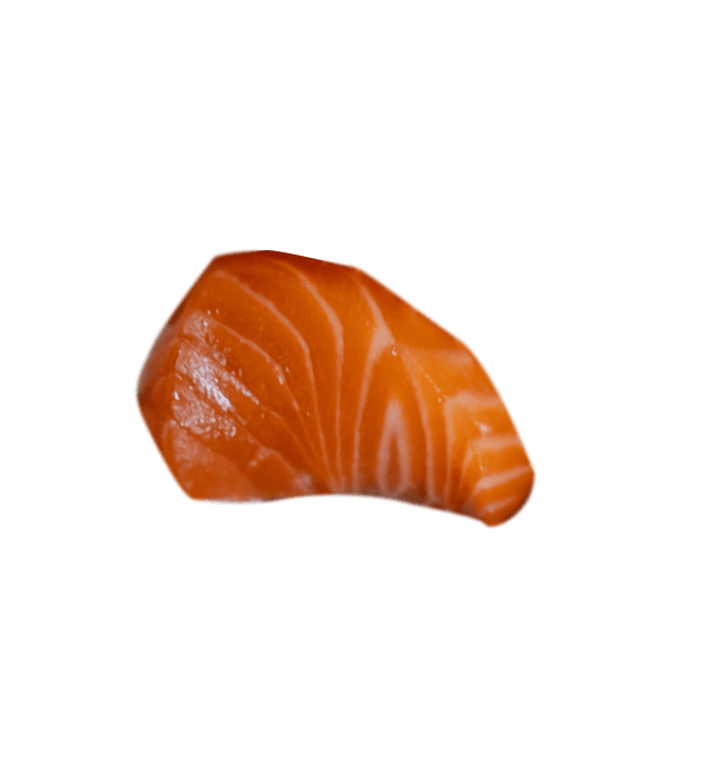 A piece of meat