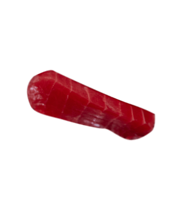 A piece of meat